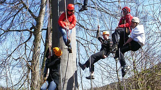Eine Gruppe Jugendlicher lassen sich mit einem Seil vom Baum ab